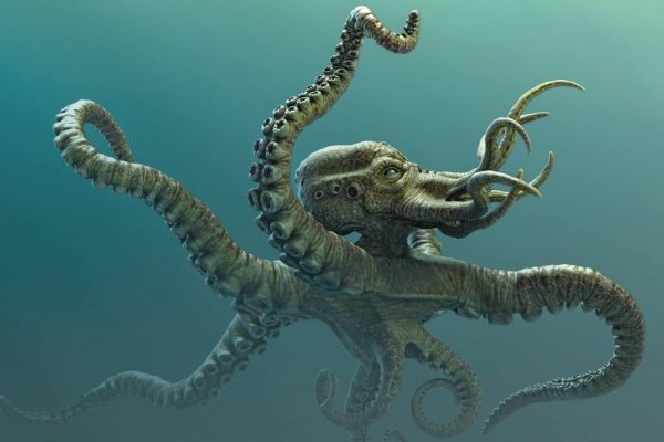 Kraken клирнет зеркало