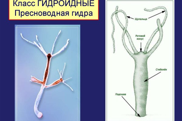 Кракен маркетплейс почему не закроют